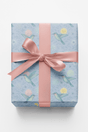 Hummingbird Haven - London Penny Gift Wrap