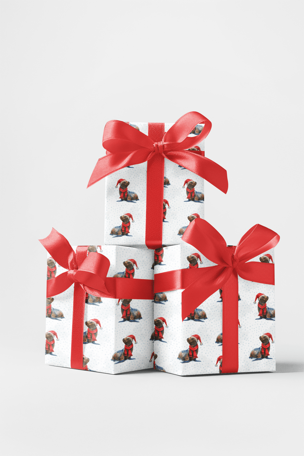 Santa’s Splashing Helper - London Penny Gift Wrap