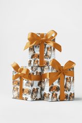 Velvet Steps, Christmas Light - London Penny Gift Wrap