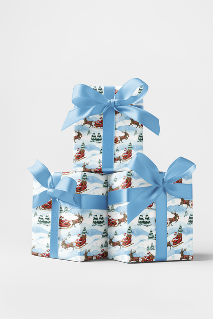 Santa & Sleigh Friends