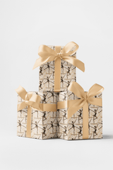 Balance Beam Elegance - London Penny Gift Wrap