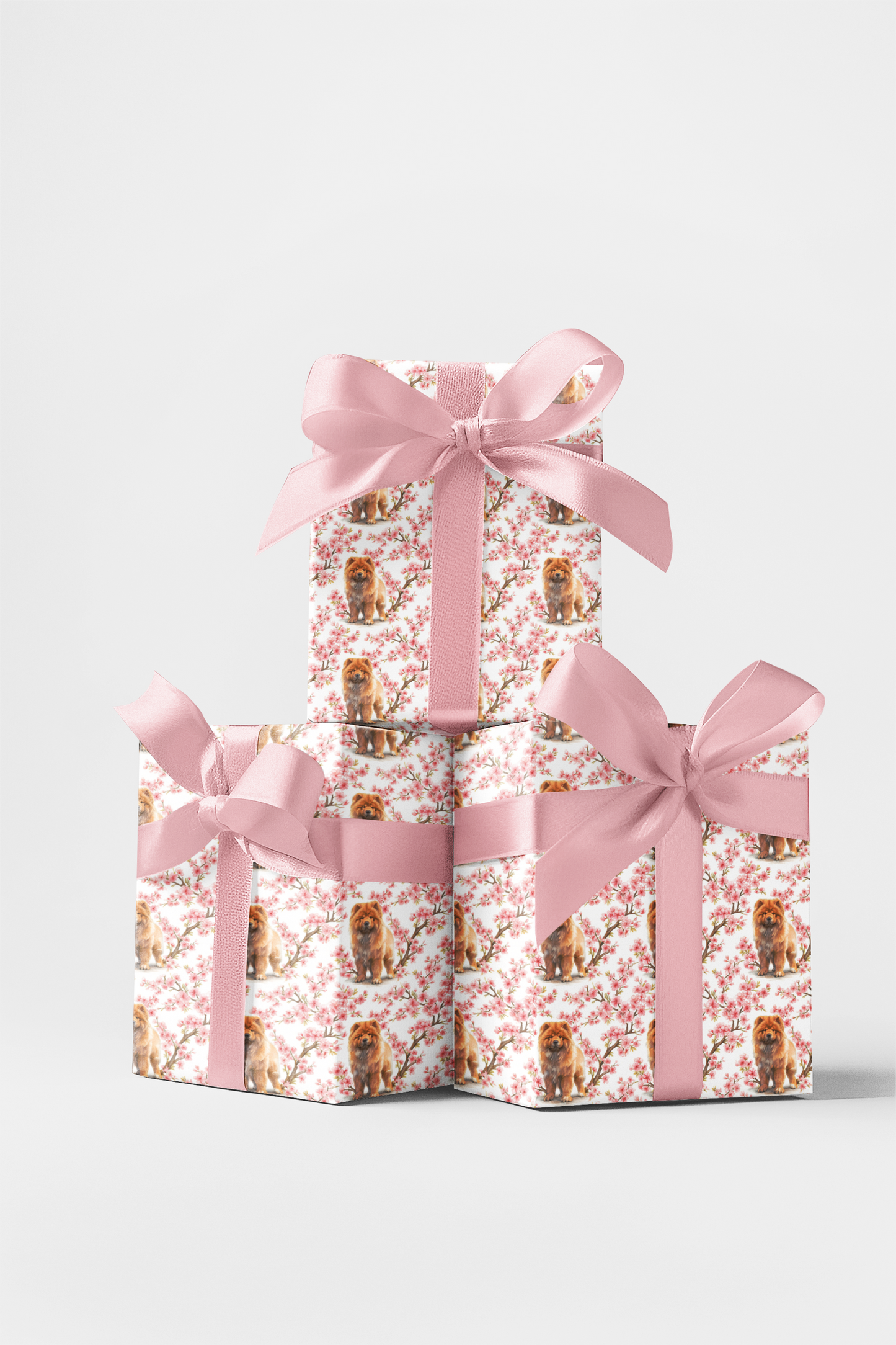 Chow Chow Cherry Blossom