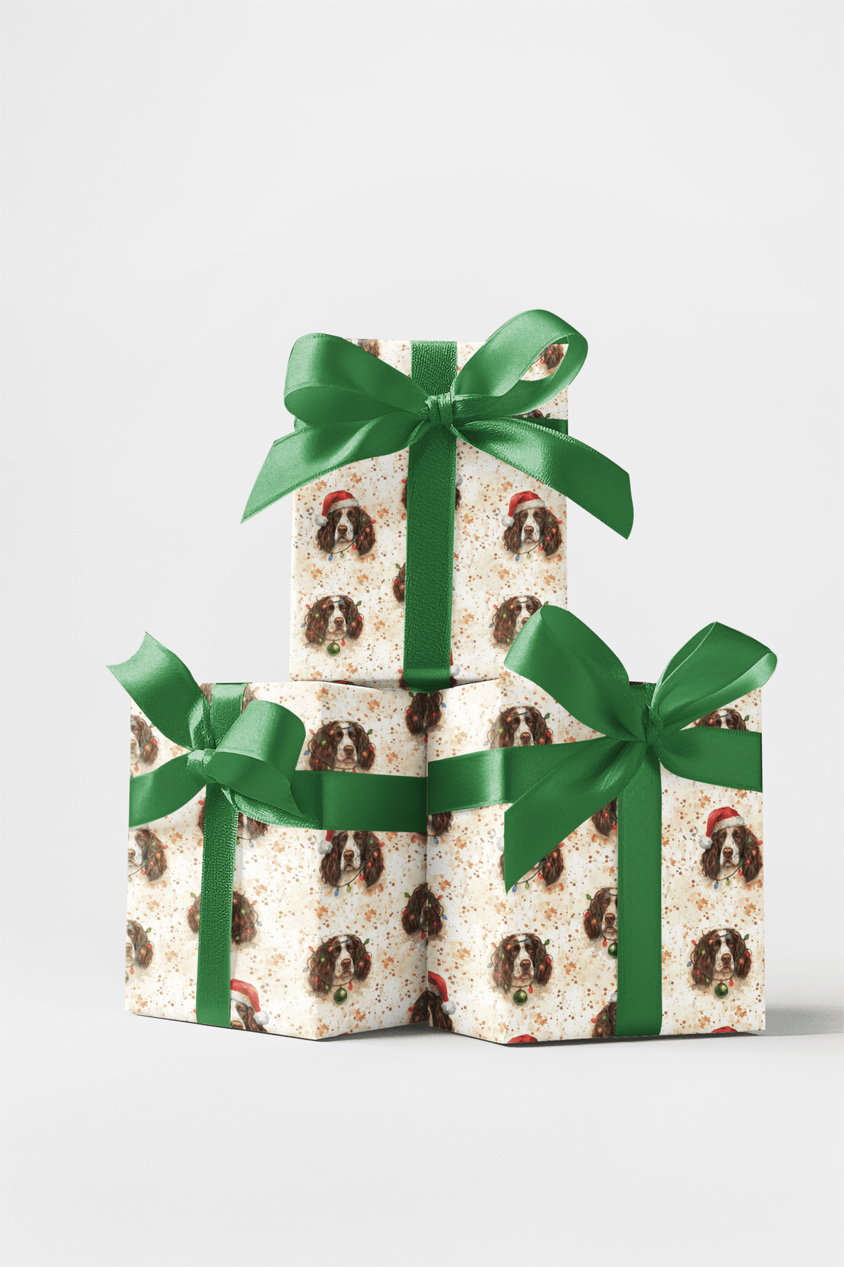 Holly Jolly Springer - London Penny Gift Wrap