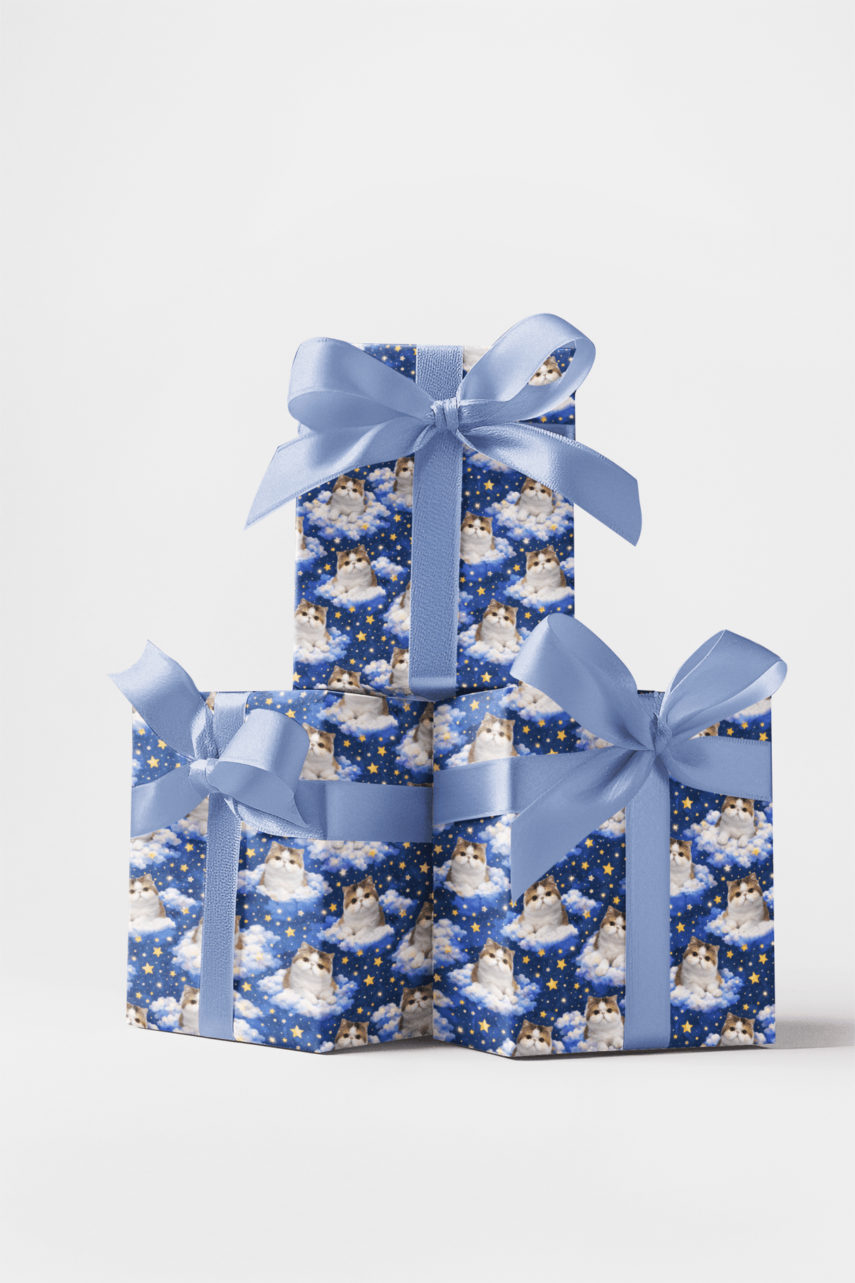 Exotic Shorthair Dreams - London Penny Gift Wrap
