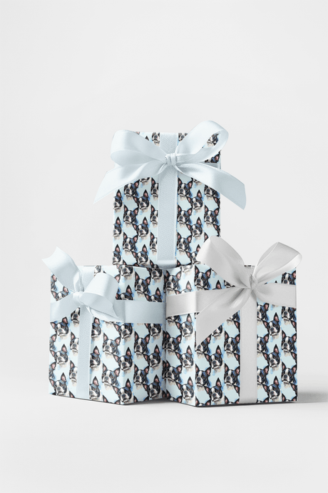 Boston Bounce! - London Penny Gift Wrap