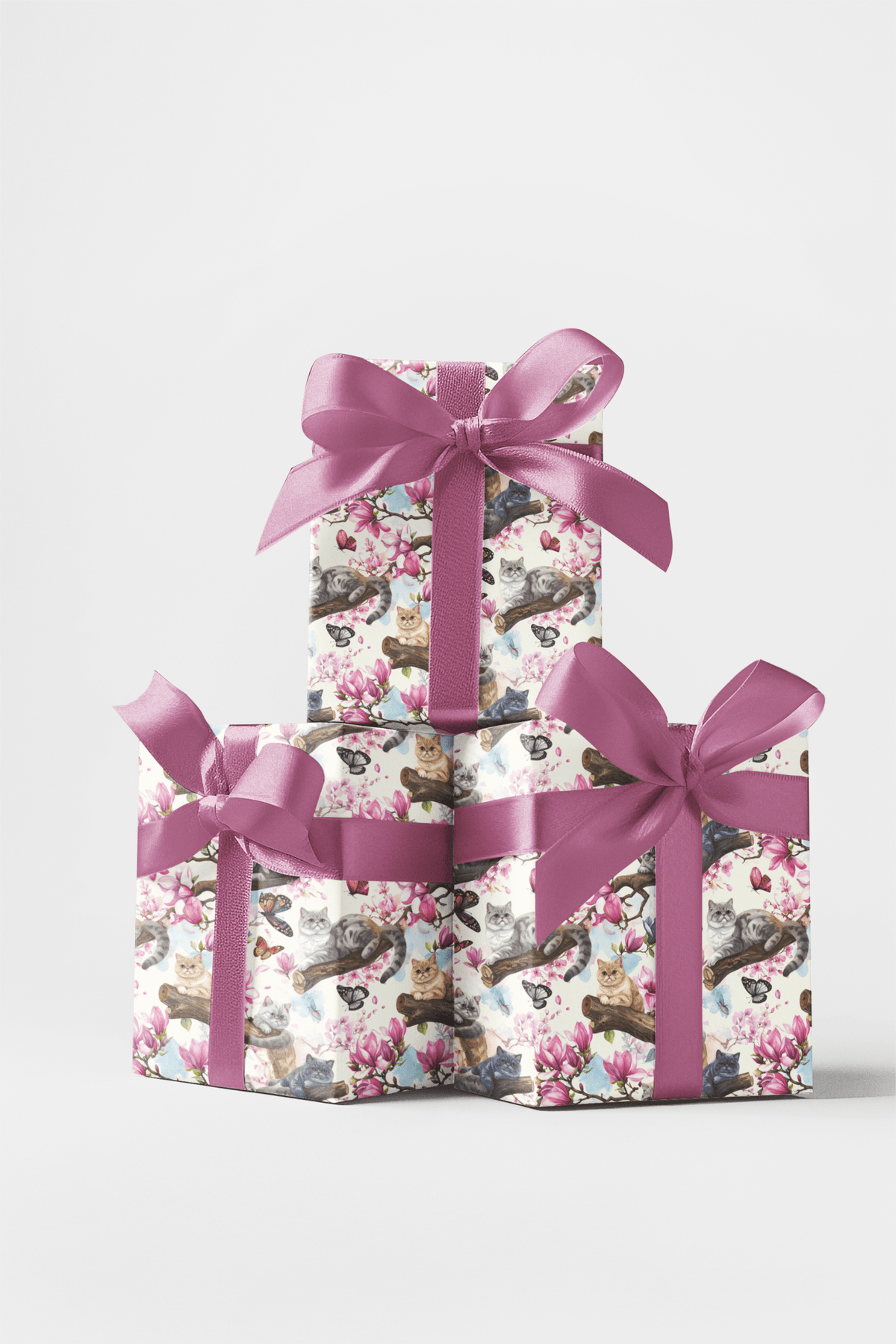Spring Blossom Cats (Exotic Shorthair) Wrapping Paper - London Penny Gift Wrap