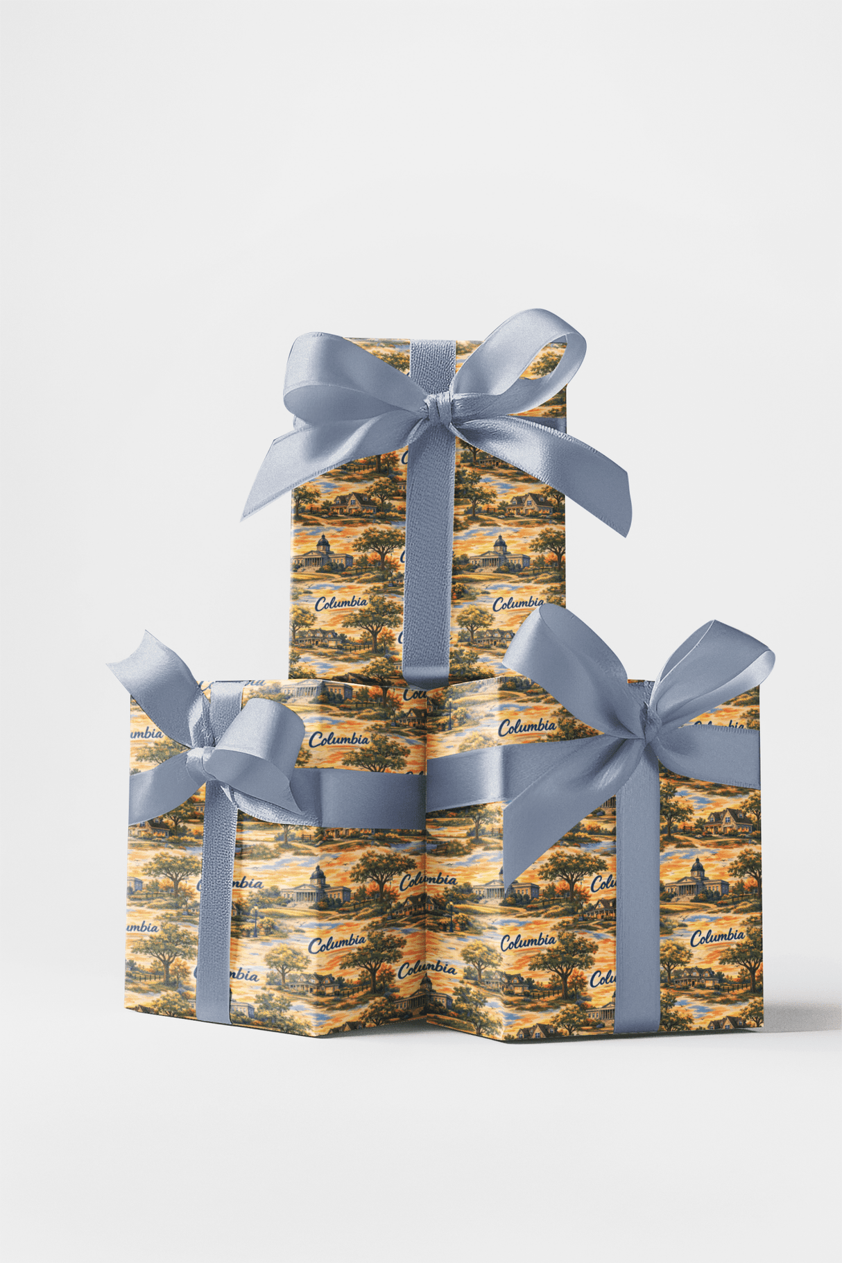 Columbia SC Southern Capitol - London Penny Gift Wrap