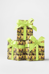 Baby Cats at Play - London Penny Gift Wrap